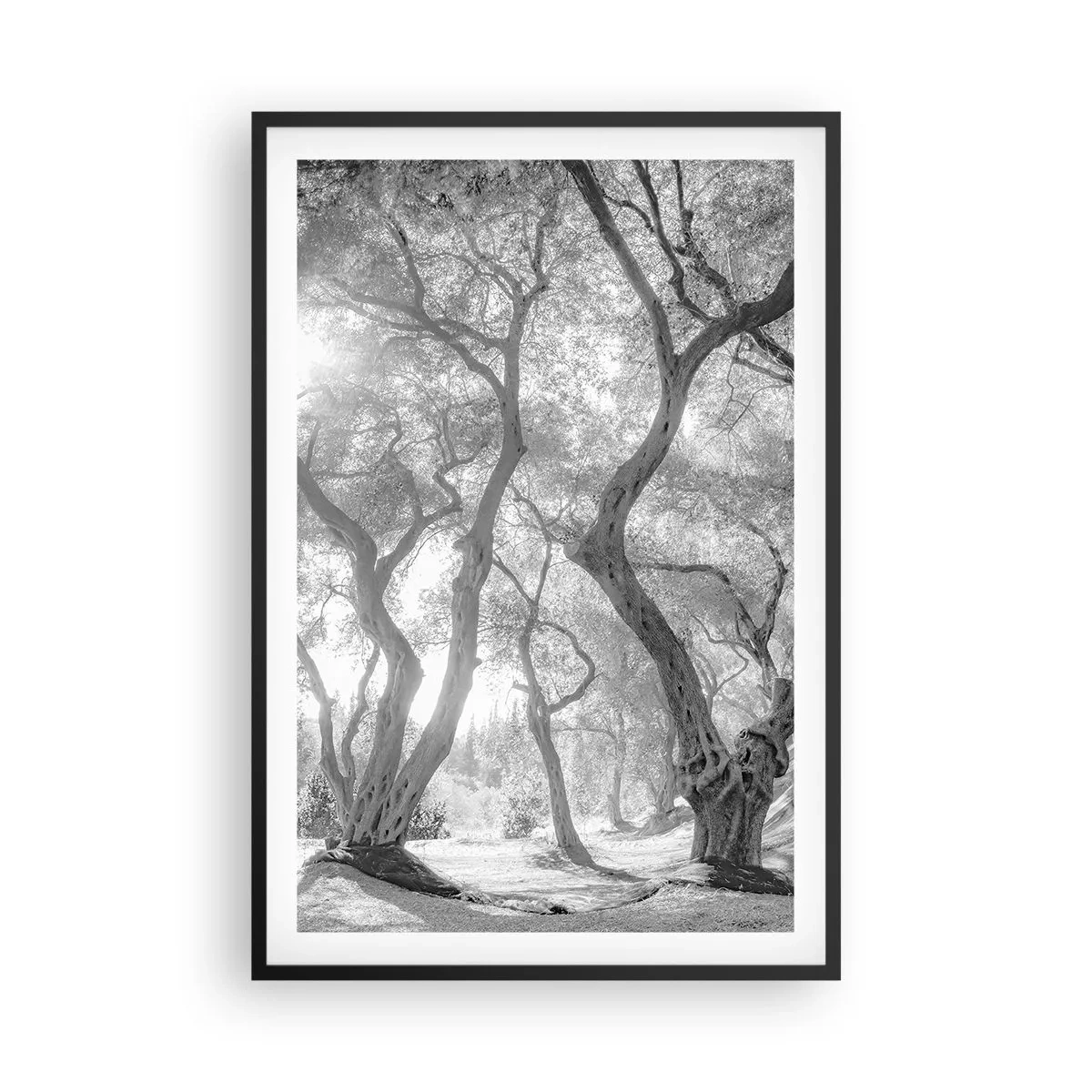Pôster com moldura preta - No olival - 61x91 cm