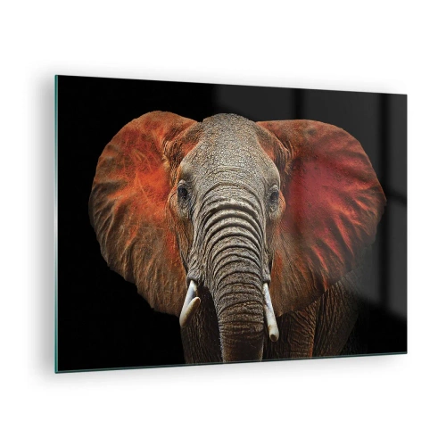 Quadro em vidro - Retrato de um elefante majestoso contra um fundo preto - 70x50cm - Eu sou selvagem, e você? - Decoração de parede moderna para a sala de estar e quarto ARTTOR
