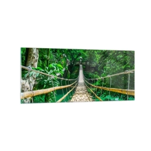 Quadro em vidro - Ponte de macacos sobre a vegetação - 120x50 cm