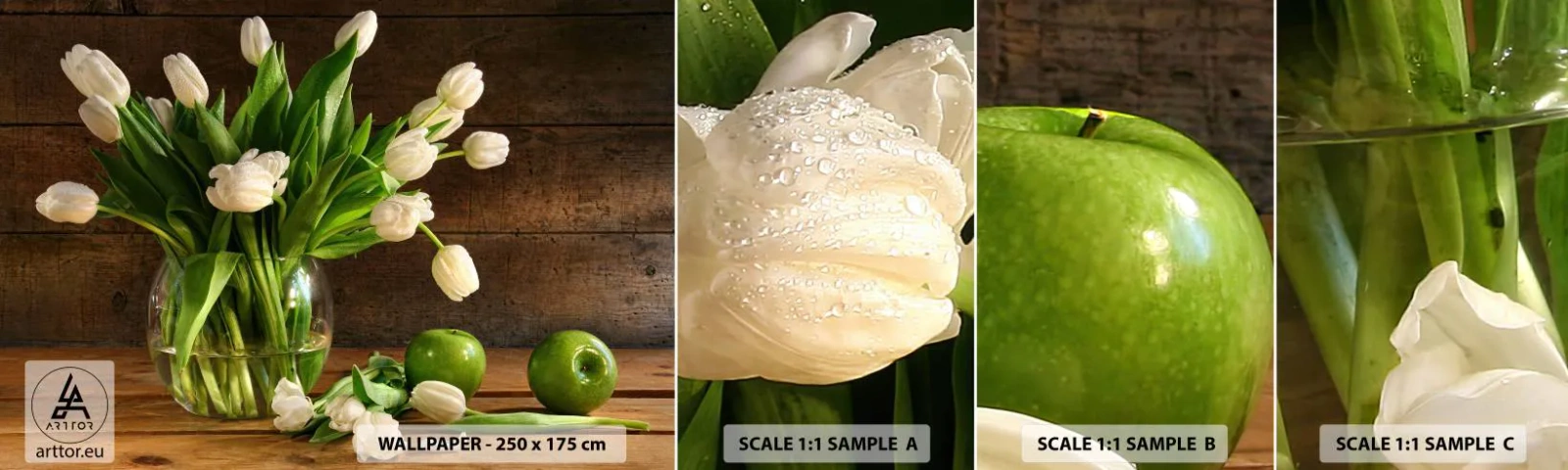 Amostra de papel de parede autocolante Deluxe Sticker - Suculentas e frescas em verde e branco - Flores, Tulipas, Buquê de flores - 100x30 cm