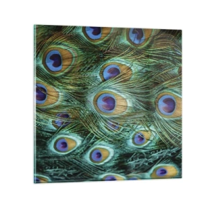 Quadro em vidro - Um olhar de pavão - 40x40 cm