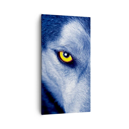 Quadro em tela - Olhar hipnotizante - 55x100 cm