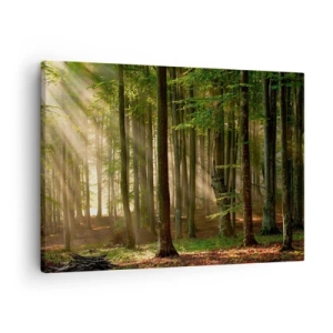 Quadro em tela - Raios de sol penetrando através das árvores da floresta - 70x50cm - Radiante em uma manhã de primavera - Decoração de parede moderna para a sala de estar e quarto ARTTOR
