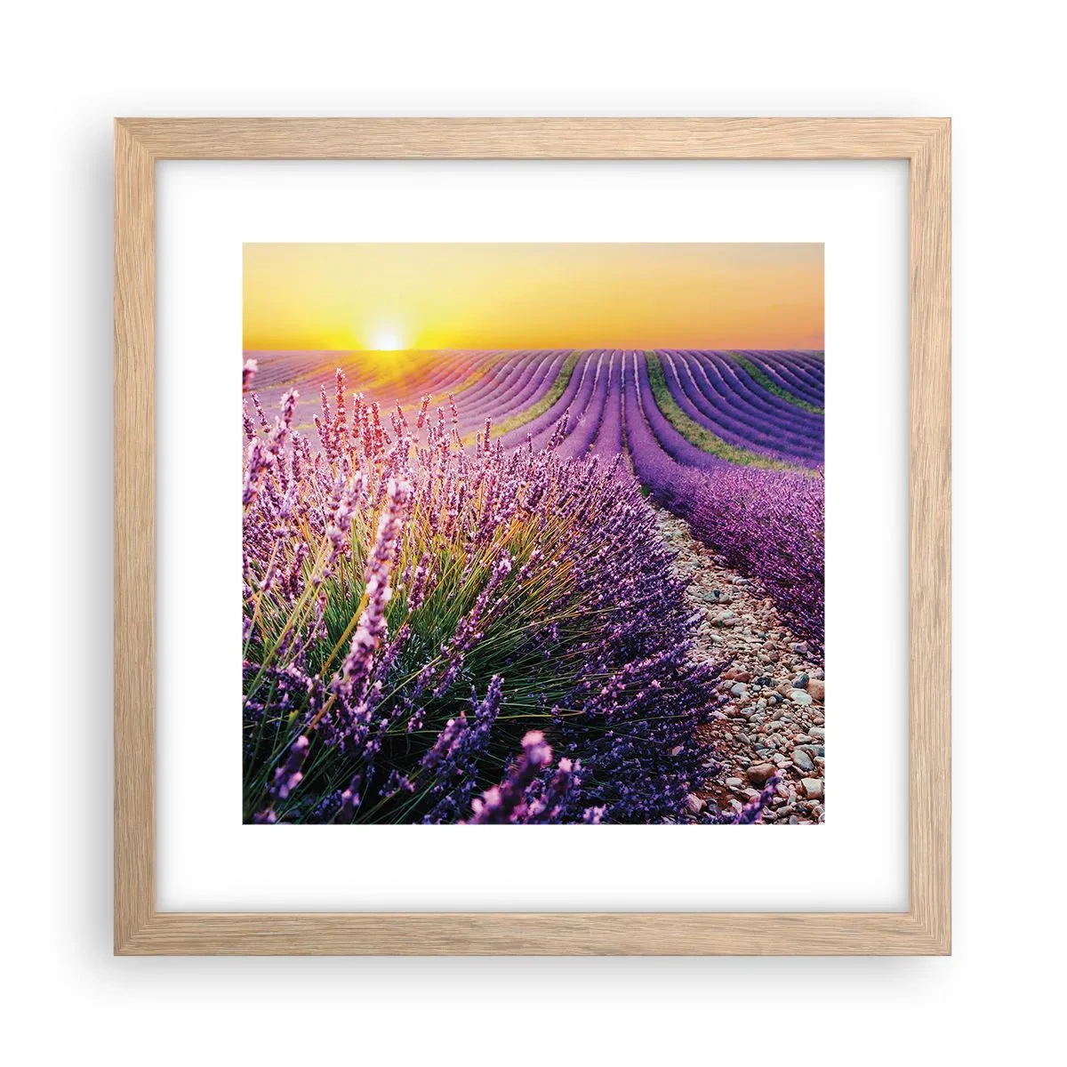 Pôster com moldura de carvalho claro - Prado perfumado - 30x30 cm
