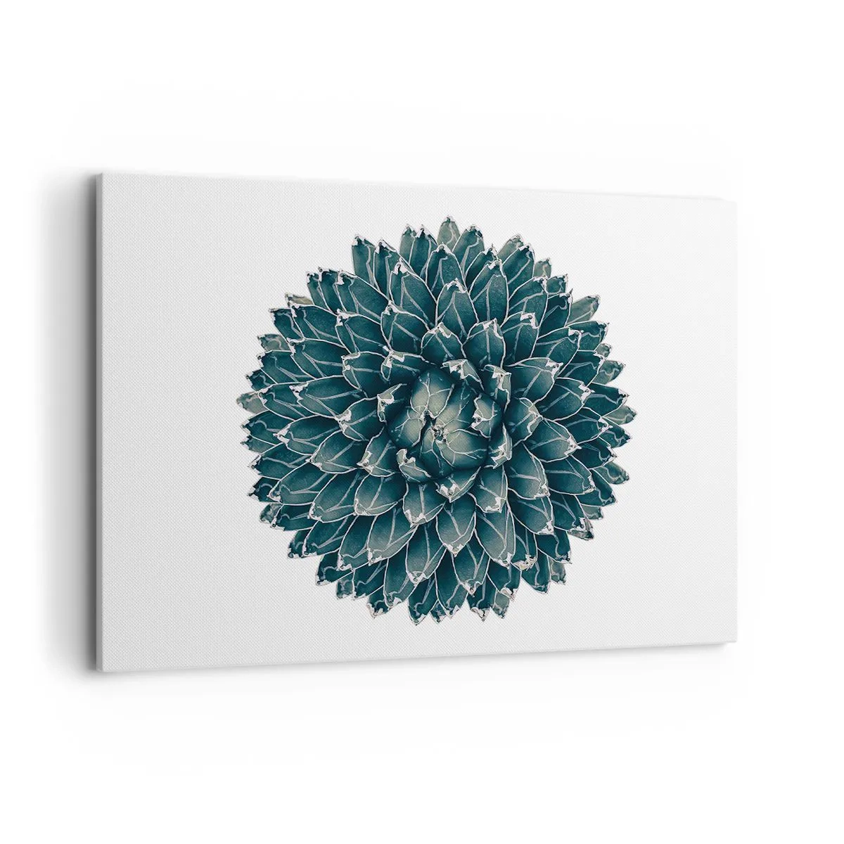 Quadro em tela - Estrela do Deserto - 100x70 cm