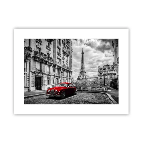 Pôster - Predador na cidade - 40x30 cm