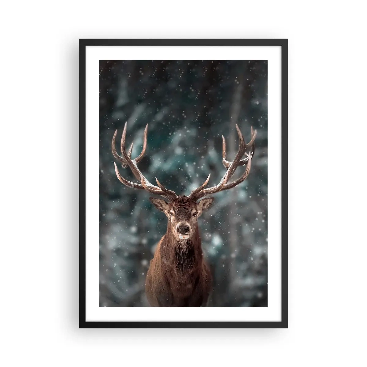 Pôster com moldura preta - Retrato de um veado com chifres impressionantes contra o pano de fundo de uma floresta de inverno - 50x70cm - O rei coroado da floresta - Decoração de parede moderna para a sala de estar e quarto ARTTOR