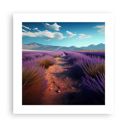 Pôster - Campos perfumados - 40x40 cm