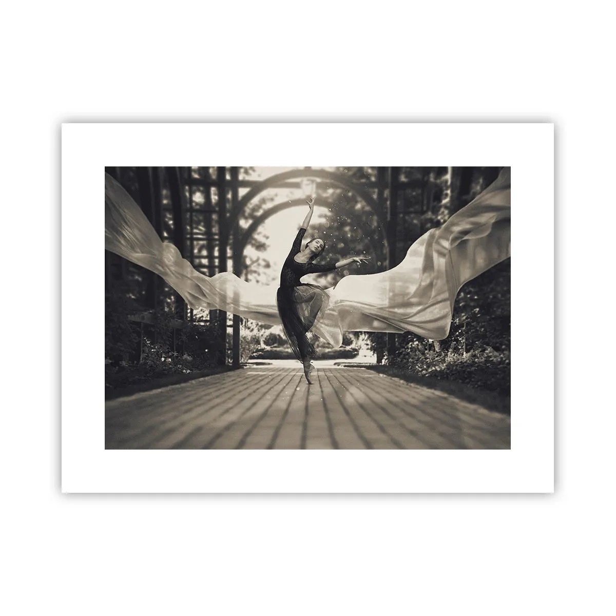 Pôster - A dança do espírito do jardim - 40x30 cm