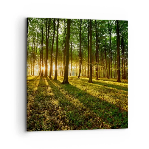 Quadro em tela - Fotografia de todas as primaveras - 70x70 cm
