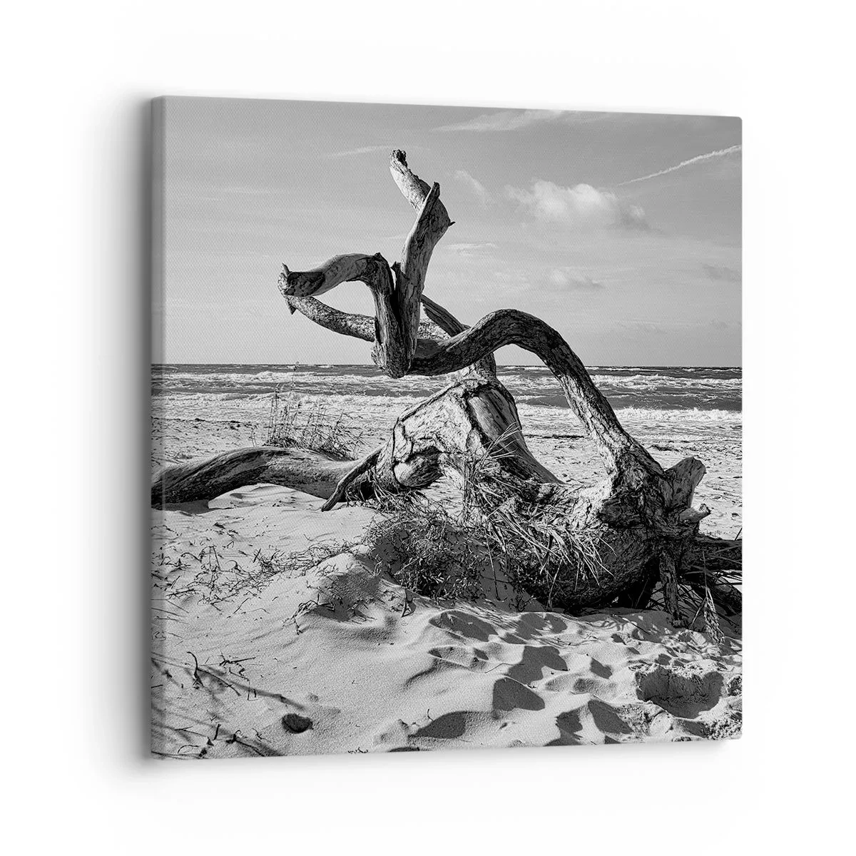 Quadro em tela - Escultura do mar - 30x30 cm