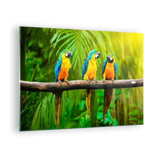 Quadro em vidro - Três papagaios araras em um galho em uma floresta tropical - 70x50cm - E ouviste dizer que ela...? - Decoração de parede moderna para a sala de estar e quarto ARTTOR