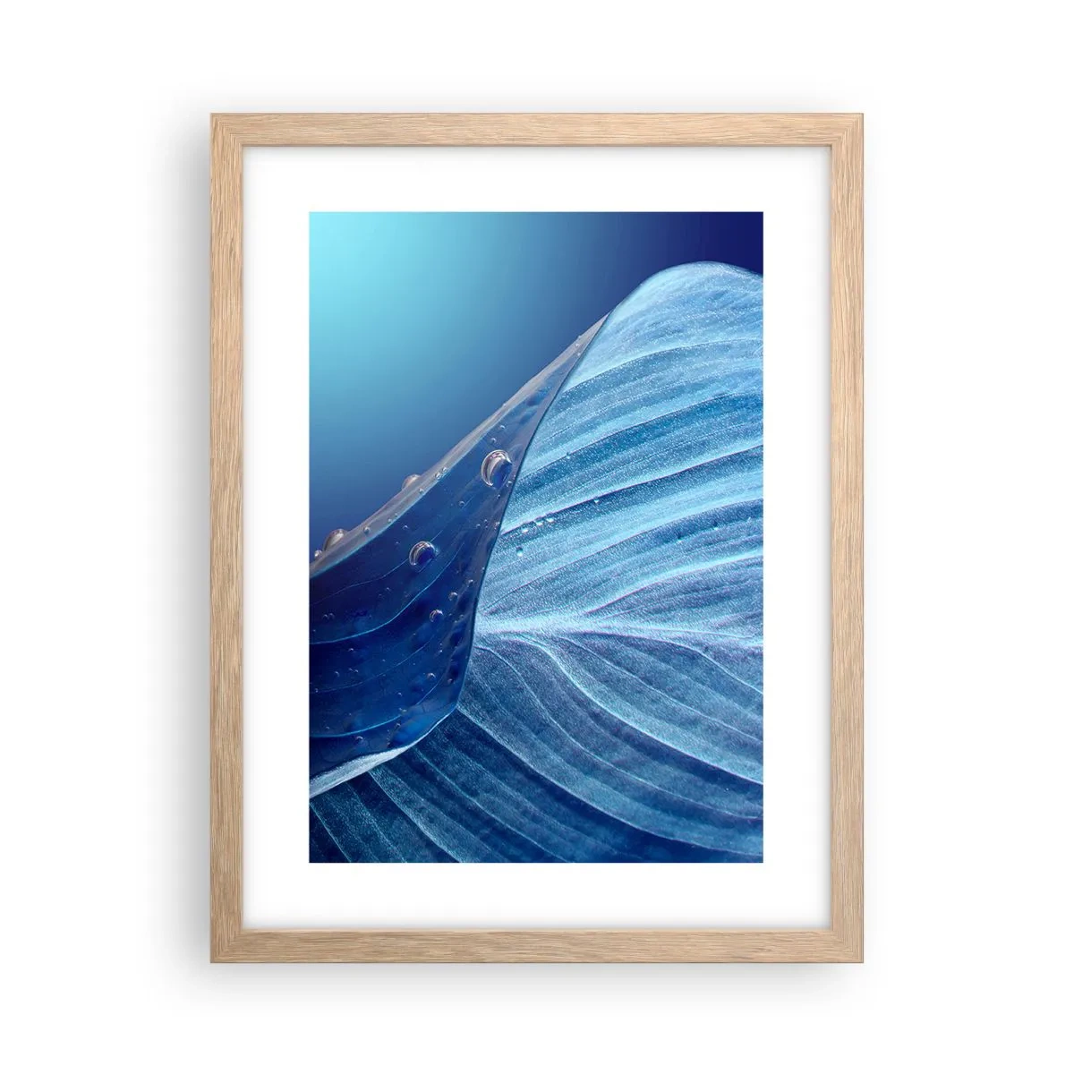 Pôster com moldura de carvalho claro - Gotas escondidas no azul - 30x40 cm