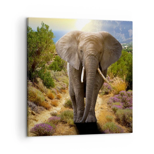 Quadro em tela - Assim era o Éden - 50x50 cm