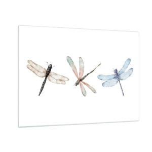 Quadro em vidro - Três libélulas coloridas em um fundo branco em um delicado estilo aquarela - 70x50cm - Libélulas sem peso - Decoração de parede moderna para a sala de estar e quarto ARTTOR