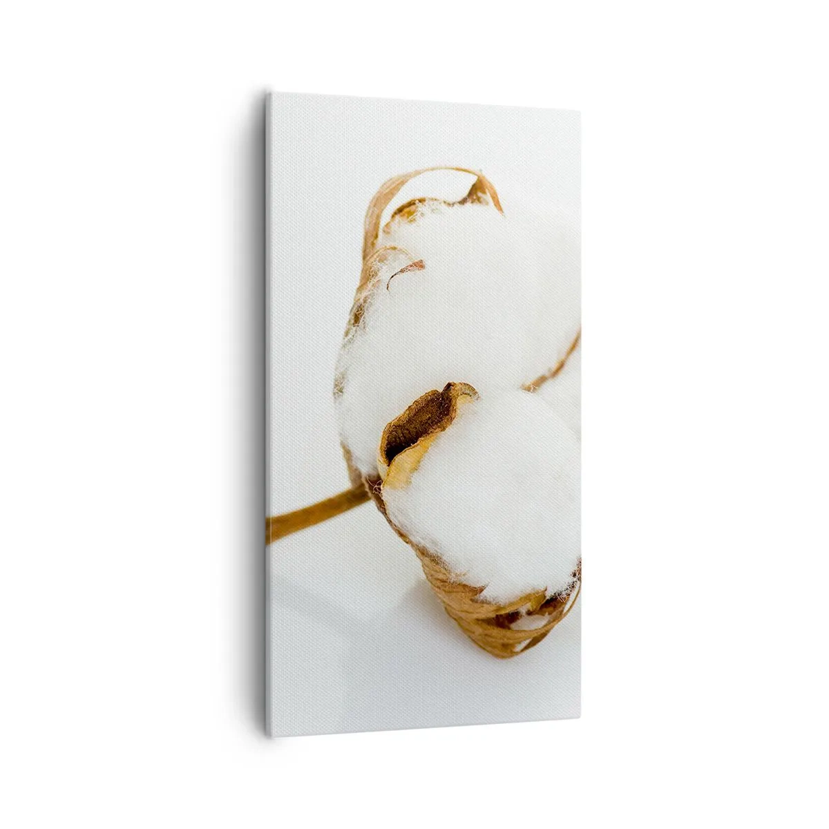 Quadro em tela - Suave por natureza - 55x100 cm