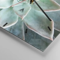 Mostrador com traços