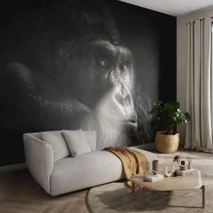 Papel de parede personalizado Premium Sand - E para que é que estás a olhar? - Macaco, Gorila, Animais