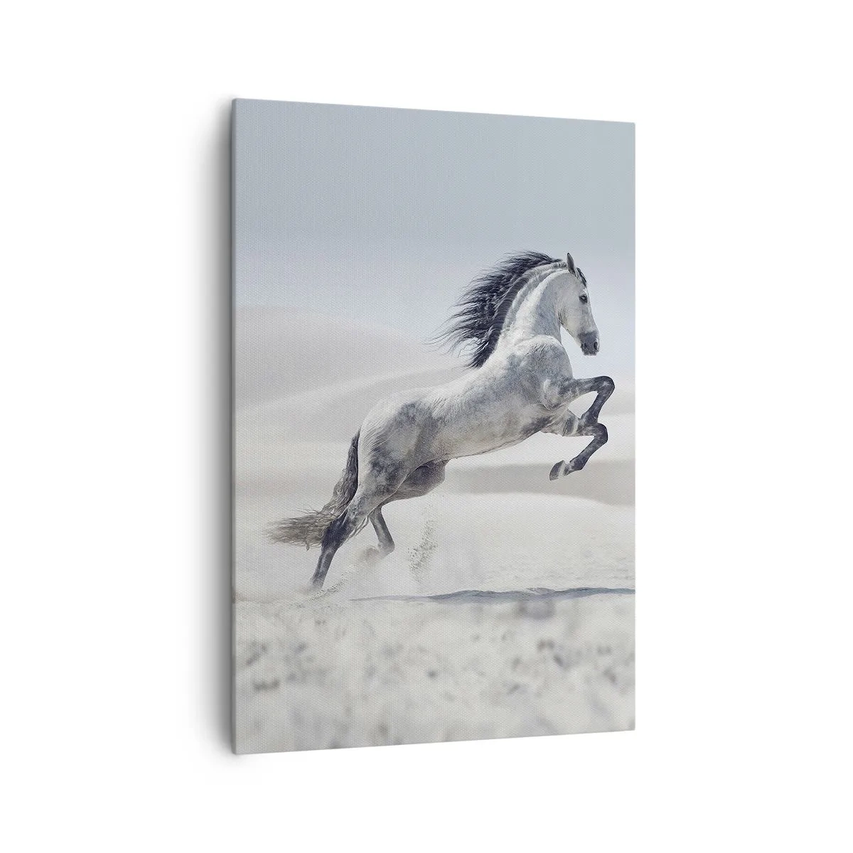 Quadro em tela - Príncipe árabe - 70x100 cm