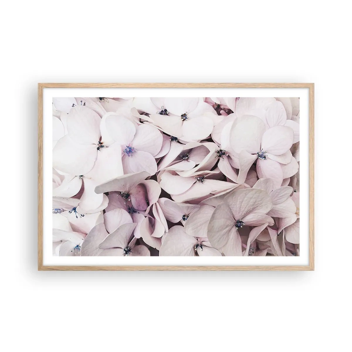 Pôster com moldura de carvalho claro - Em uma inundação de flores - 91x61 cm
