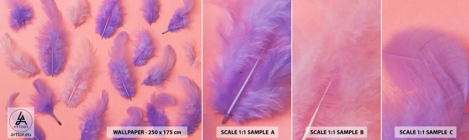 Amostra de papel de parede autocolante Deluxe Sticker - Ave lilás do desejo - Pena de pássaro, Inspiração, Gráficos - 100x30 cm