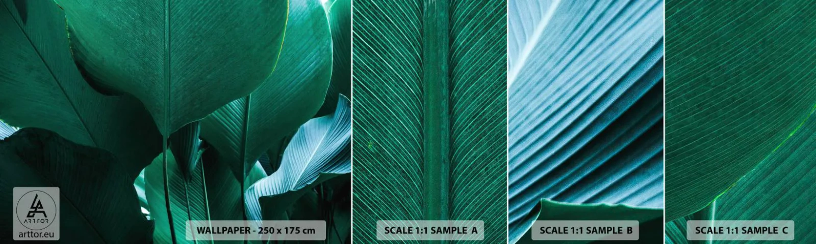 Amostra de papel de parede autocolante Deluxe Sticker - De frente para a luz - Folha de banana, Bananeira, Plantar - 100x30 cm