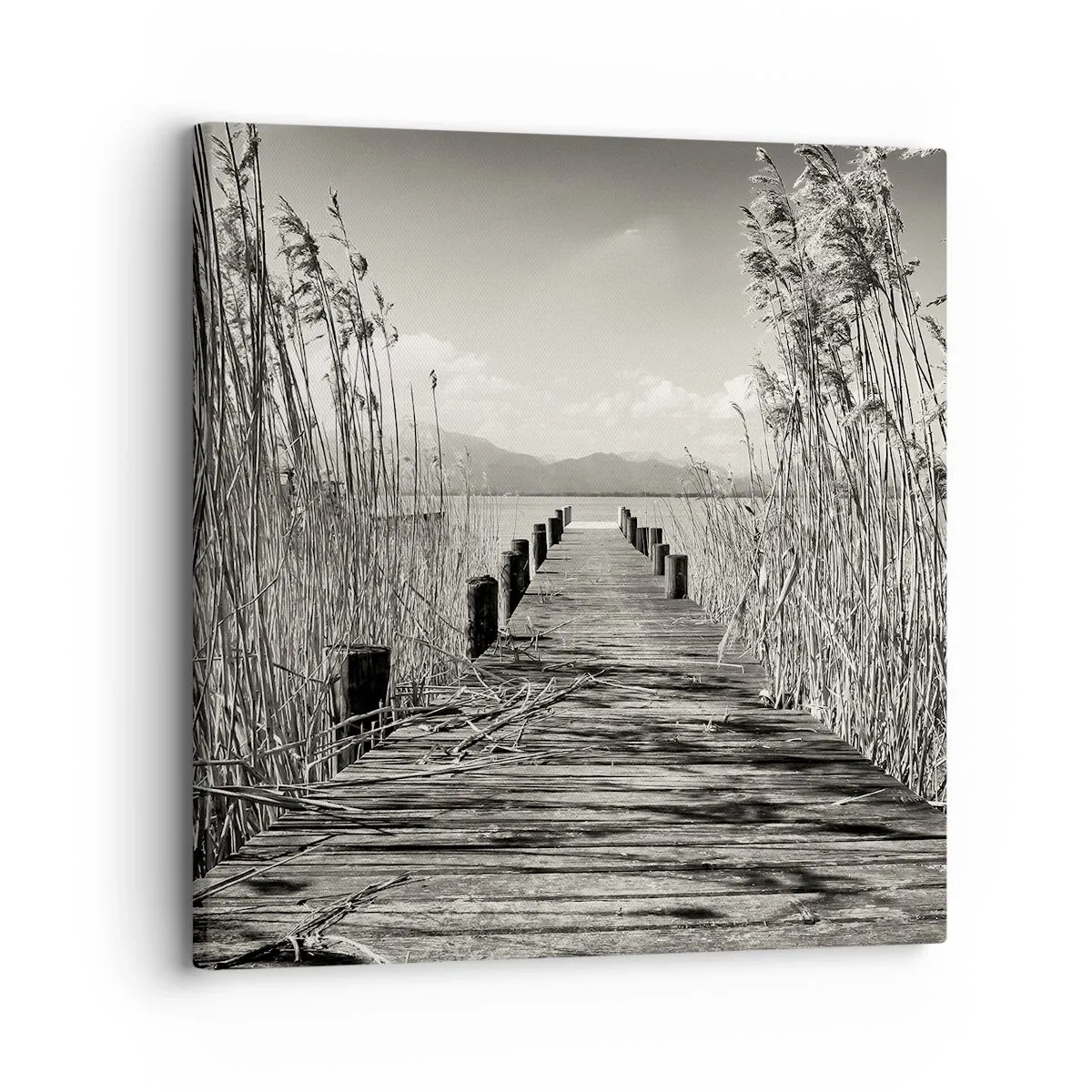 Quadro em tela - No silêncio da relva - 30x30 cm