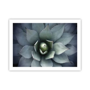 Pôster - Atrai e adverte - 70x50 cm