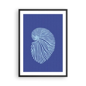 Pôster com moldura preta - Gráficos de conchas estilizados em um arranjo espiral - 50x70cm - O nascimento da concha - Decoração de parede moderna para a sala de estar e quarto ARTTOR