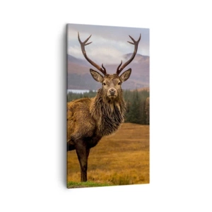 Quadro em tela - A majestade da natureza - 45x80 cm