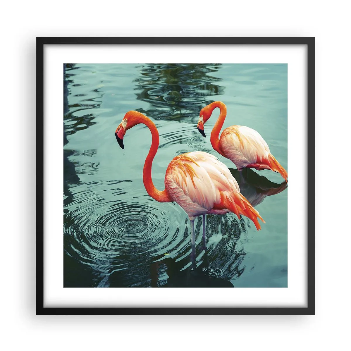 Pôster com moldura preta - Estamos na moda agora - 50x50 cm