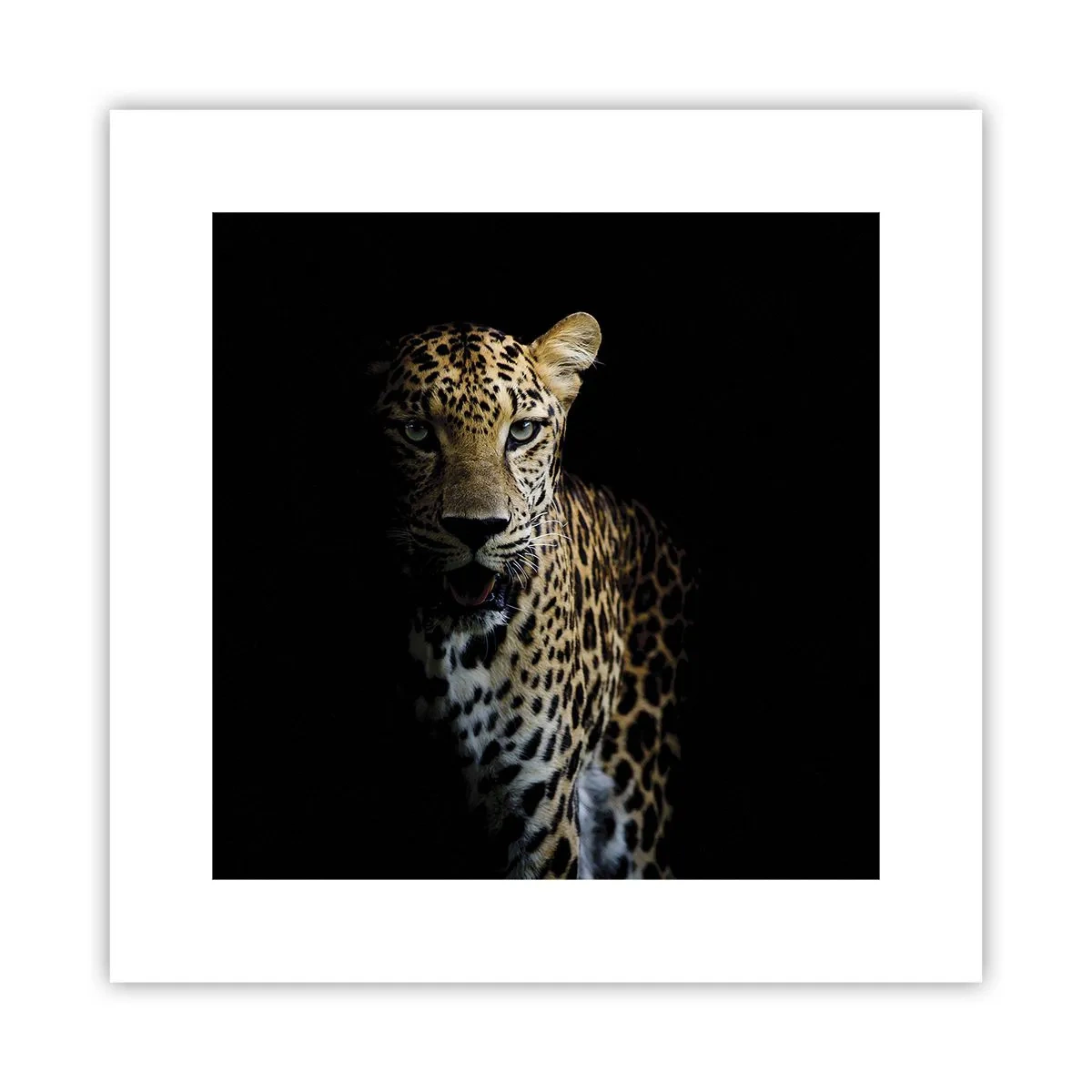 Pôster - Beleza escura - 30x30 cm