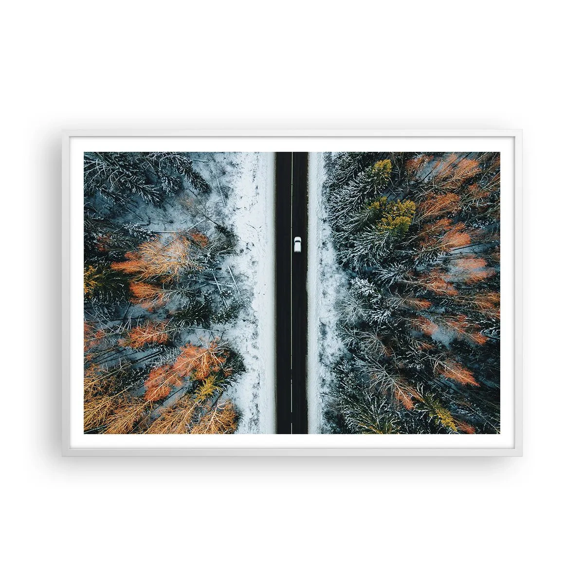 Pôster em moldura branca - Cortar a floresta no inverno - 100x70 cm