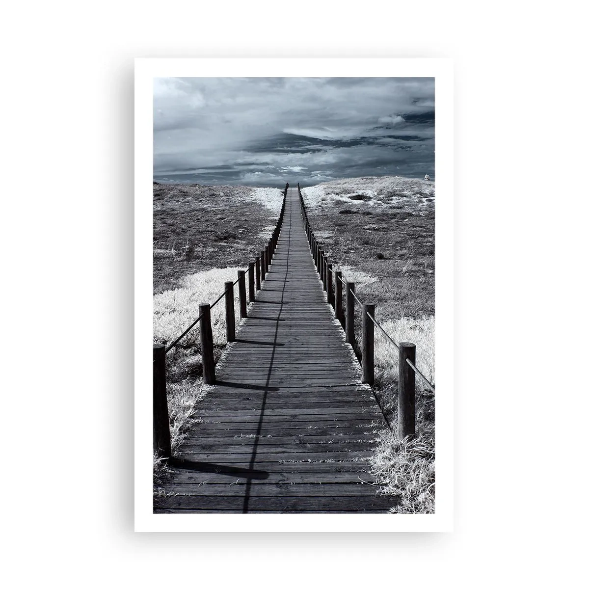 Pôster - Direto para a costa - 61x91 cm