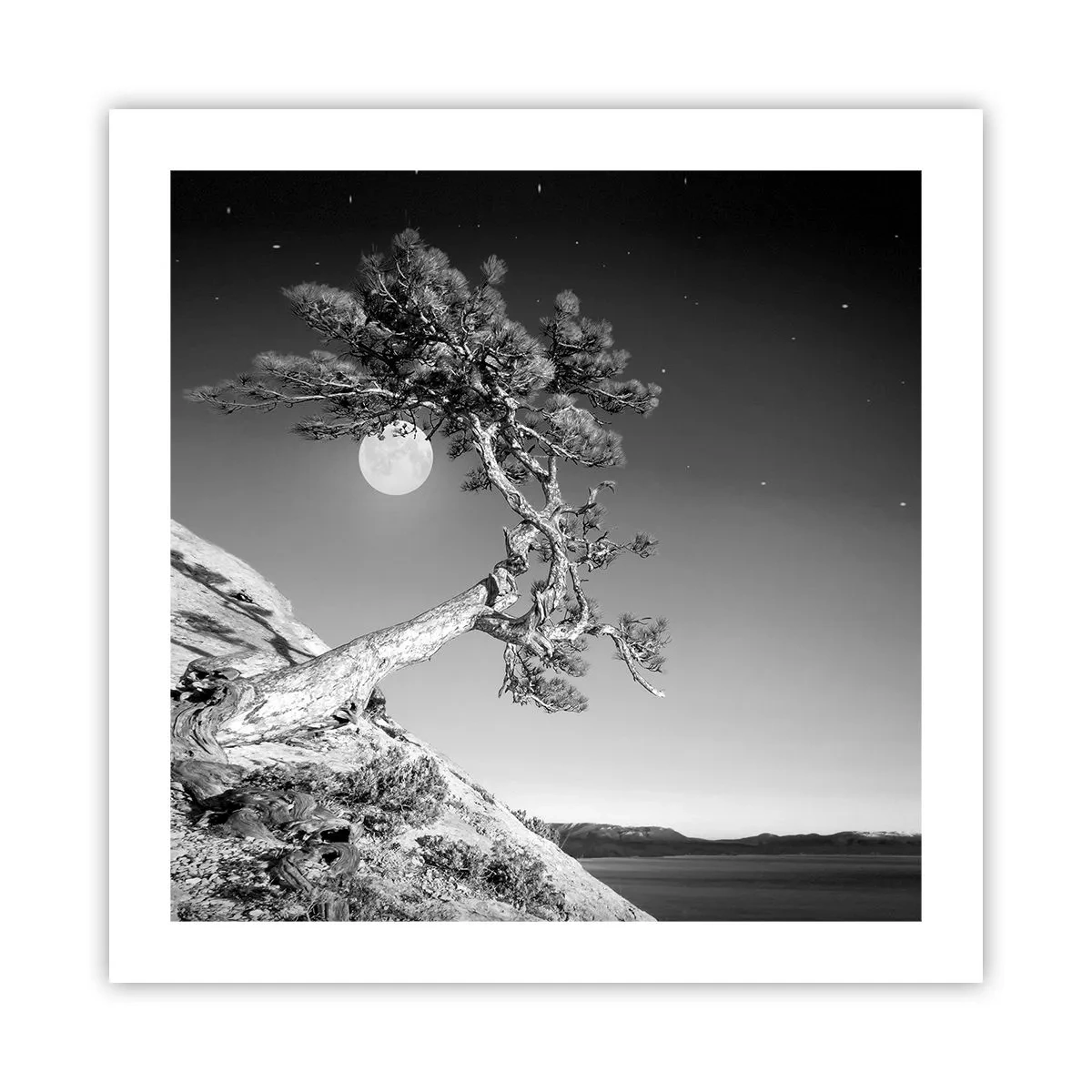 Pôster - Guerreira vitoriosa - 50x50 cm