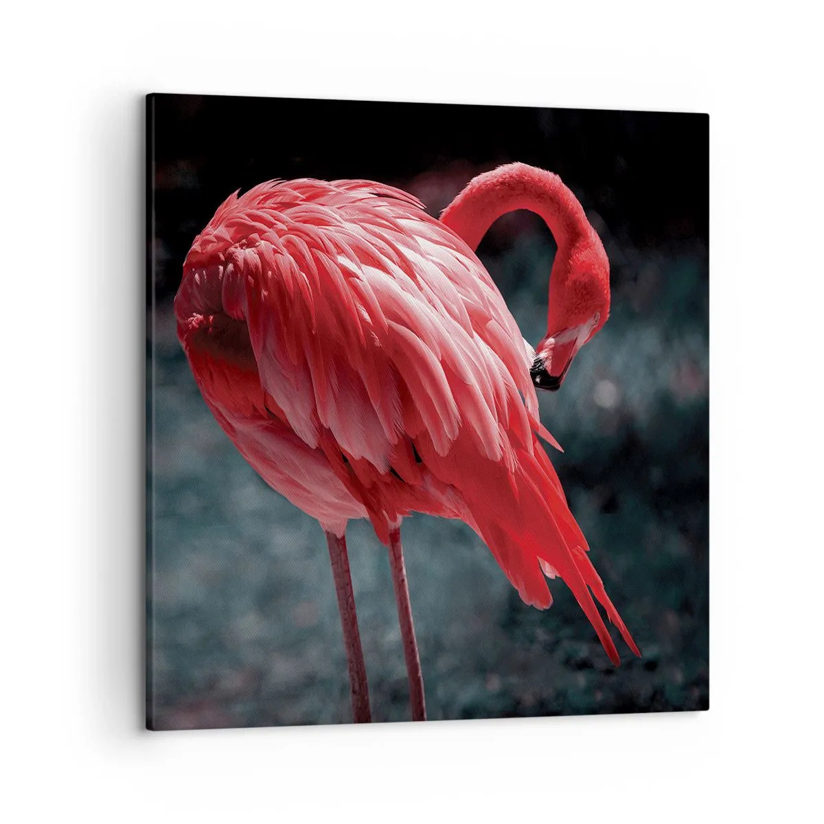 Quadro em tela - Poema carmesim da natureza - 50x50 cm