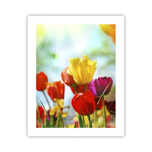 Pôster - Todas as cores do sol - 40x50 cm