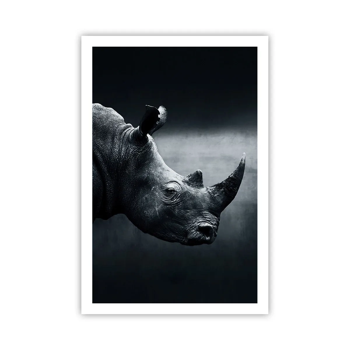 Pôster - Perfil direito - 61x91 cm