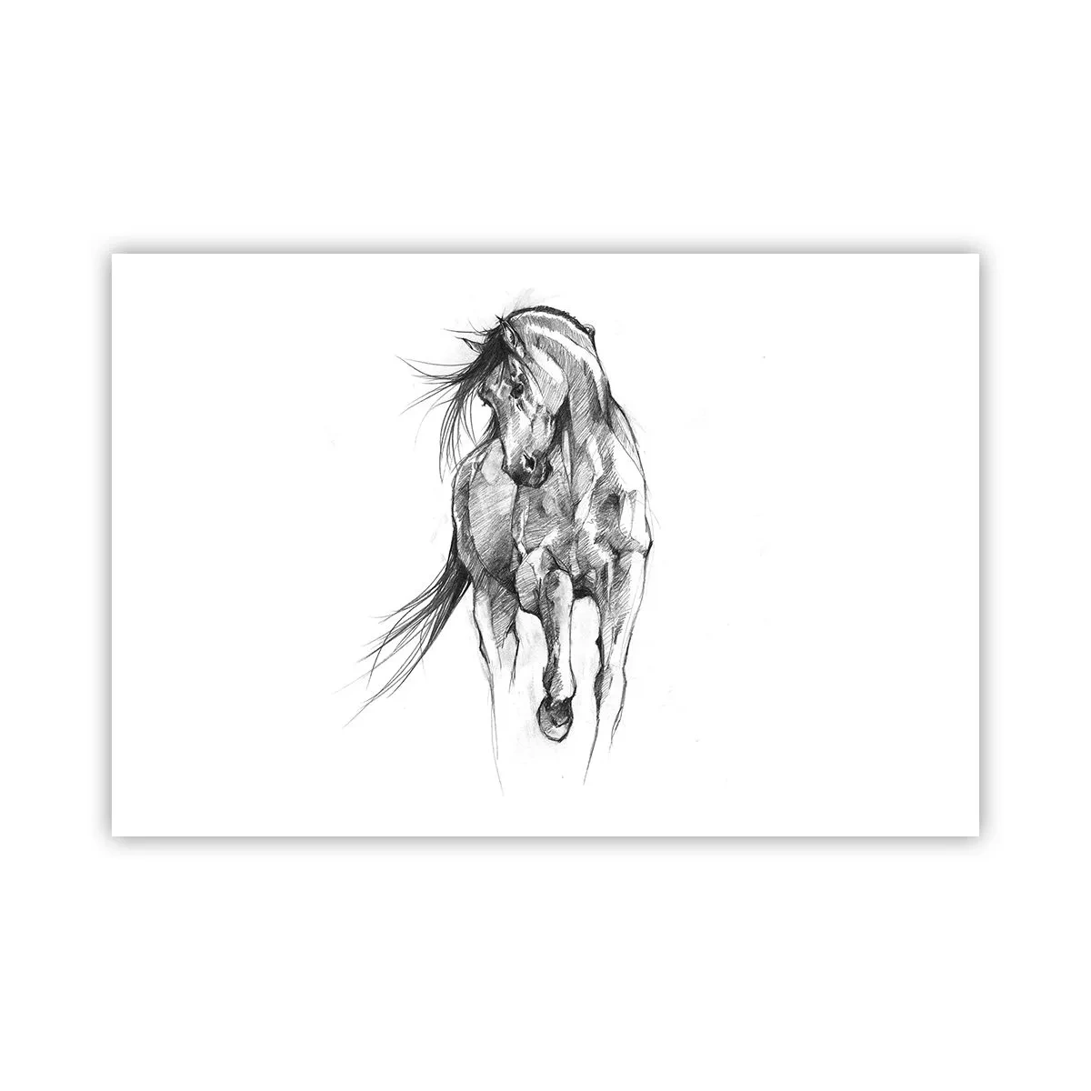 Pôster - Num trote gracioso - 91x61 cm