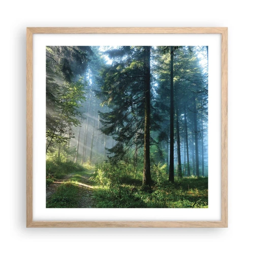 Pôster com moldura de carvalho claro - Radiante de manhã - 50x50 cm