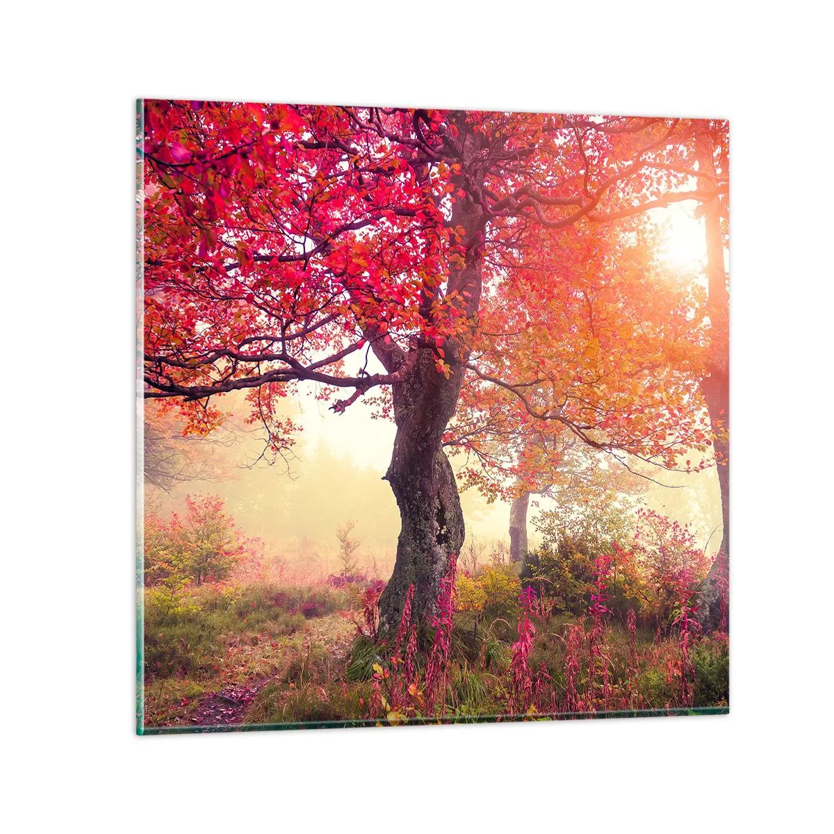 Quadro em vidro - Um frenesi de florescimento - 30x30 cm