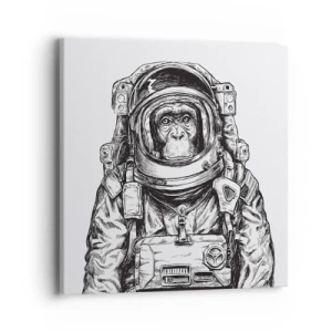 Quadro em tela - Evolução alternativa - 40x40 cm