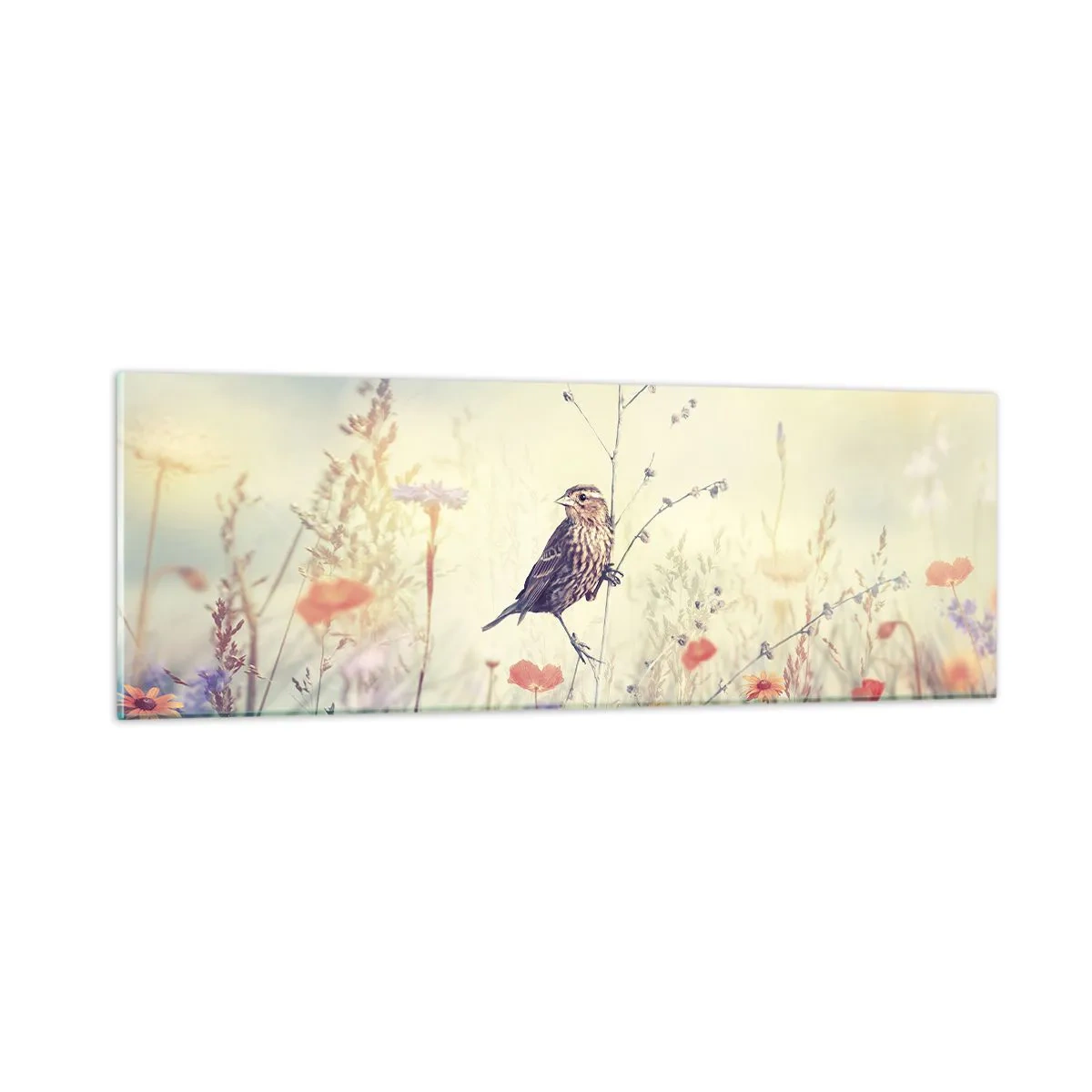 Quadro em vidro - Retrato de um pássaro com um prado no fundo - 90x30 cm