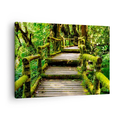 Quadro em tela - Uma ponte de madeira coberta de musgo em uma floresta tropical - 70x50cm - Corredor de vegetação - Decoração de parede moderna para a sala de estar e quarto ARTTOR