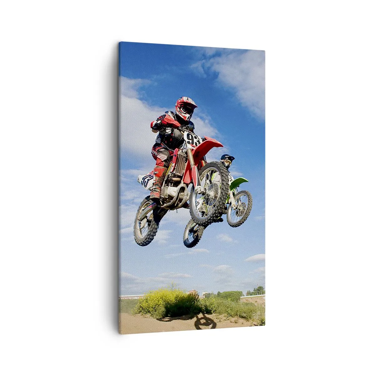 Quadro em tela - Salto celeste - 45x80 cm