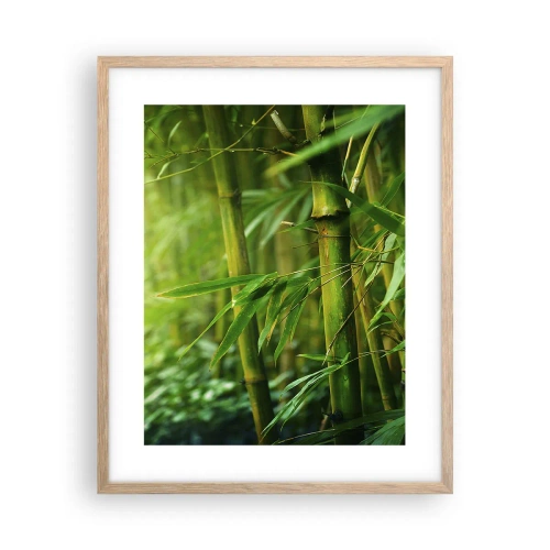 Pôster com moldura de carvalho claro - Conheça a vegetação - 40x50 cm
