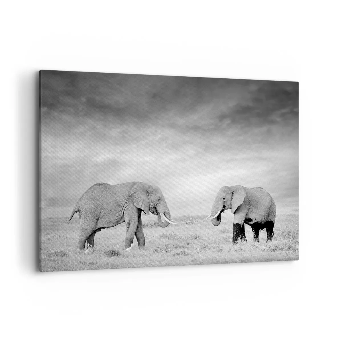 Quadro em tela - O cinza é belo - 120x80 cm