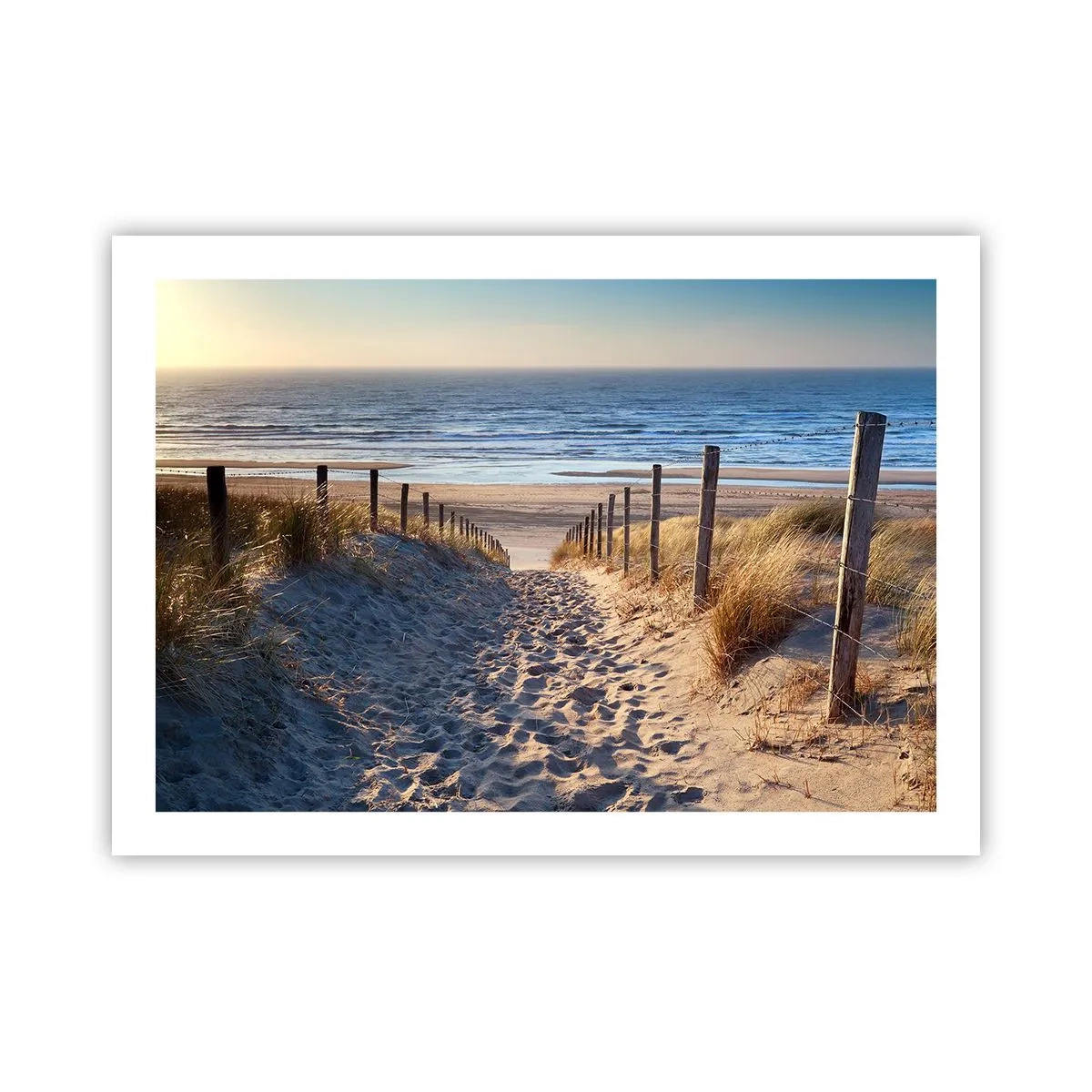 Pôster - O som do mar, o canto dos pássaros, a praia selvagem entre a relva... - 70x50 cm