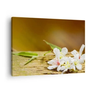 Quadro em tela - Flores brancas sobre fundo de madeira com luz natural - 70x50cm - Uma promessa inocente - Decoração de parede moderna para a sala de estar e quarto ARTTOR