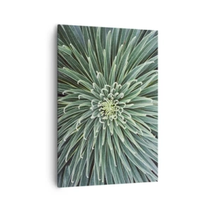 Quadro em tela - Nasce uma estrela - 70x100 cm
